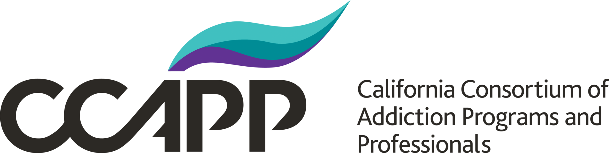 CCAPP_PRI_RGB_Wide_large-2048x518